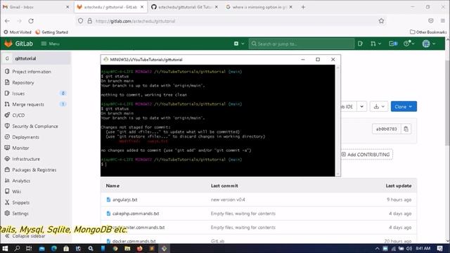 GitLab Part-05 | Whtat is Mirroring | How to pull changes auto? смотреть онлайн