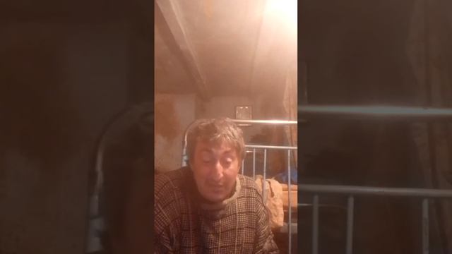 басня Ивана Крылова.чиж и голубь смотреть онлайн