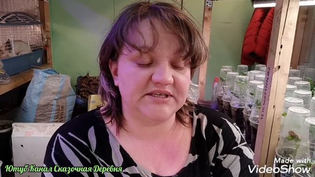 Просто мои мысли о ваших комментариях по переезду. смотреть онлайн