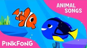Clown Fish, Bluetang | Tropical Fish | Animal Songs | Pinkfong Songs for Children