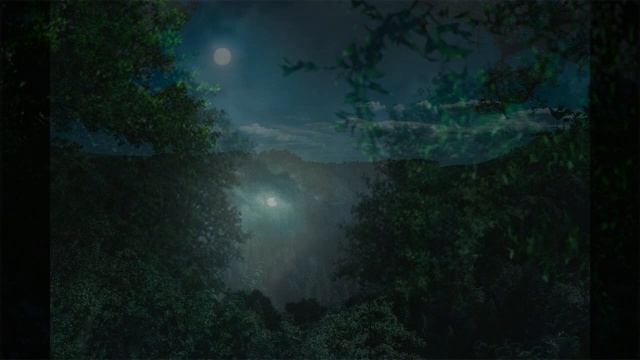 ЛЕС НОЧЬЮ, ЗВУКИ ПРИРОДЫ. РЕЛАКСАЦИЯ. FOREST NIGHT, THE SOUNDS OF NATURE. RELAXATION.