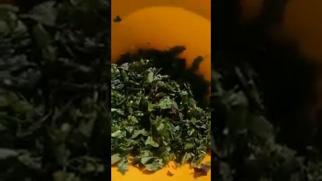 Салат из дикоросов смотреть онлайн