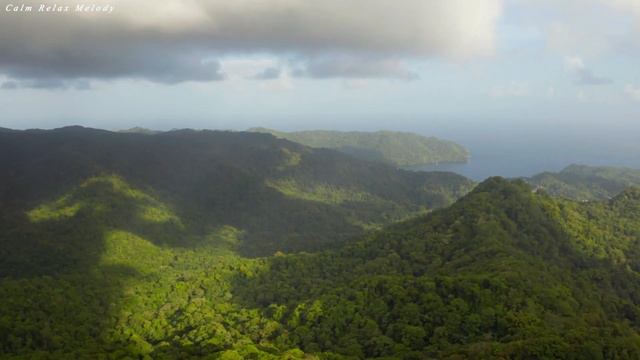 Healing Music Brings A Feeling Of Relax🌿Dispels Troubles In The Soul🌿Melodies Create Good Sleep смотреть онлайн