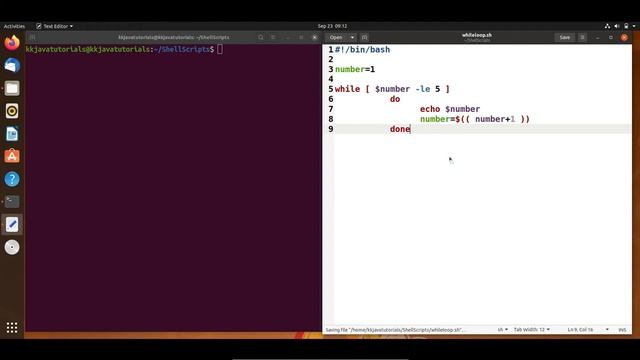 Shell Scripting Tutorial-16 While Loop ||Linux Scripting Tutorial || Linux Interview Question смотреть онлайн