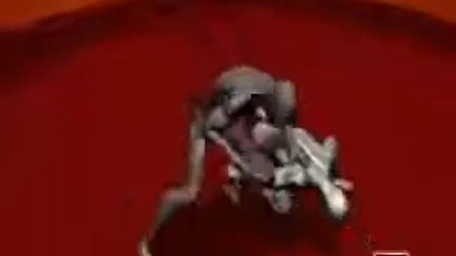 Обучение правильные удары ногами руками комбинации Ninjutsu Hamukai смотреть онлайн