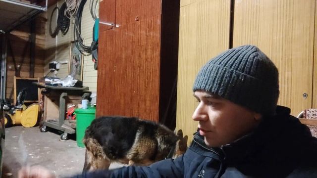 В первый раз ставлю укол собаке взрослому кобелю немецкая овчарка