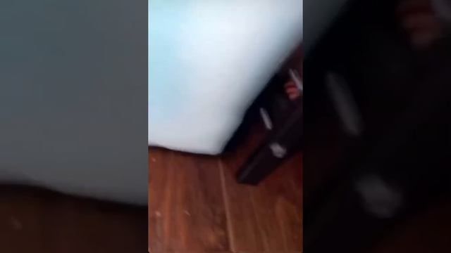 Вечер с Эмилией ?/ Спряталась под кровать/ Миля такая Миля смотреть онлайн