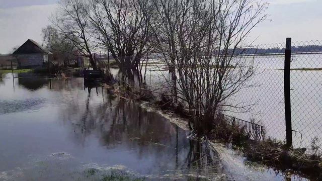 6.04.23. Водичка подходит. Участок за гаражом привела в порядок... смотреть онлайн