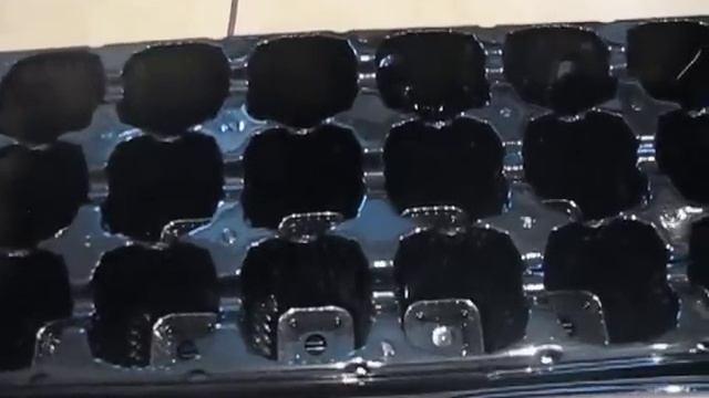 кассеты для рассады.mp4 смотреть онлайн