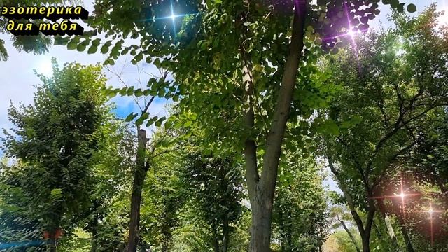 Сегодня 3 сентября невыносимый день, напишите эти цифры. Послание от Архангела Михаила. Лунный день смотреть онлайн