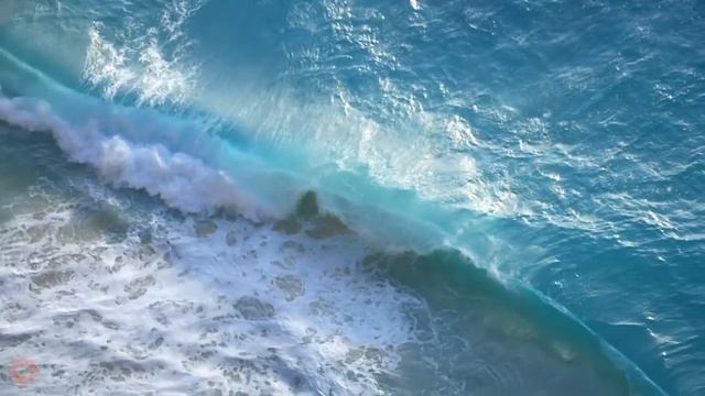 Whale Song | Ocean Waves | NO Background Music смотреть онлайн