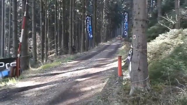 Test WRC Martin Prokop, Michal Jurman, Ford Fiesta RS WRC смотреть онлайн