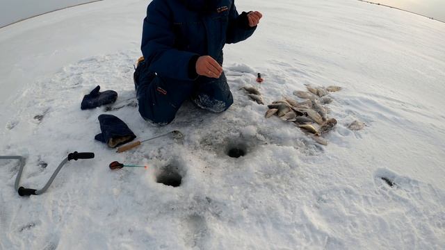 ПЕРВЫЙ ЛЕД. КАРАСЬ КОТОРЫЙ НЕ ЛЕЗЕТ В ЛУНКУ. РЫБАЛКА В КУРГАНСКОЙ ОБЛАСТИ. РЫБАЛКА В 4К смотреть онлайн