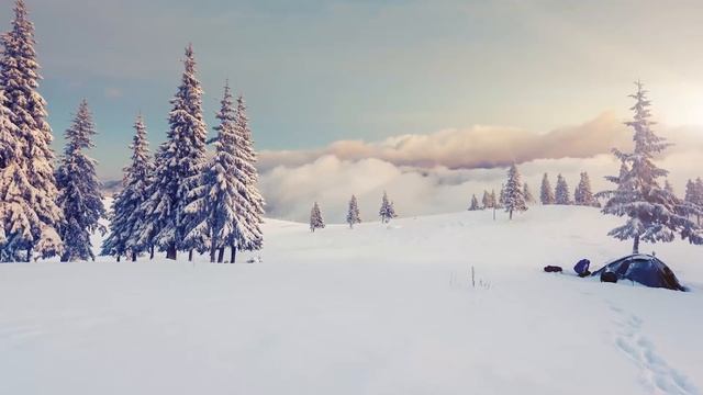 11 Hours Relaxing Piano Music, Relaxing Music, Sleep Music, Music for Studying, Meditation смотреть онлайн