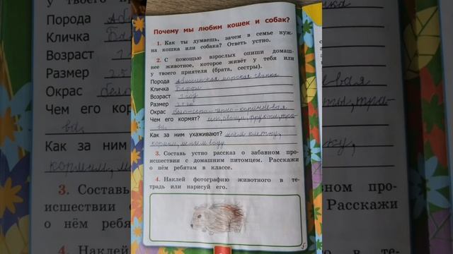 ГДЗ Окружающий мир к учебнику Плешкова (рабочая тетрадь 2) смотреть онлайн