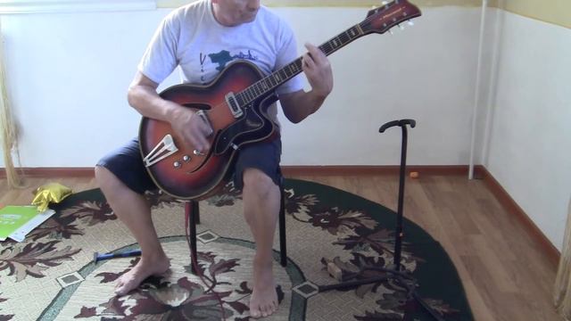 Musima Record  Музима Рекорд