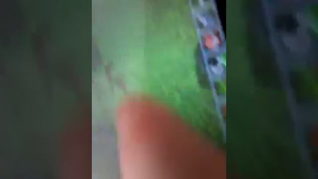 хаус приколы в майн пе с пандора бокс смотреть онлайн
