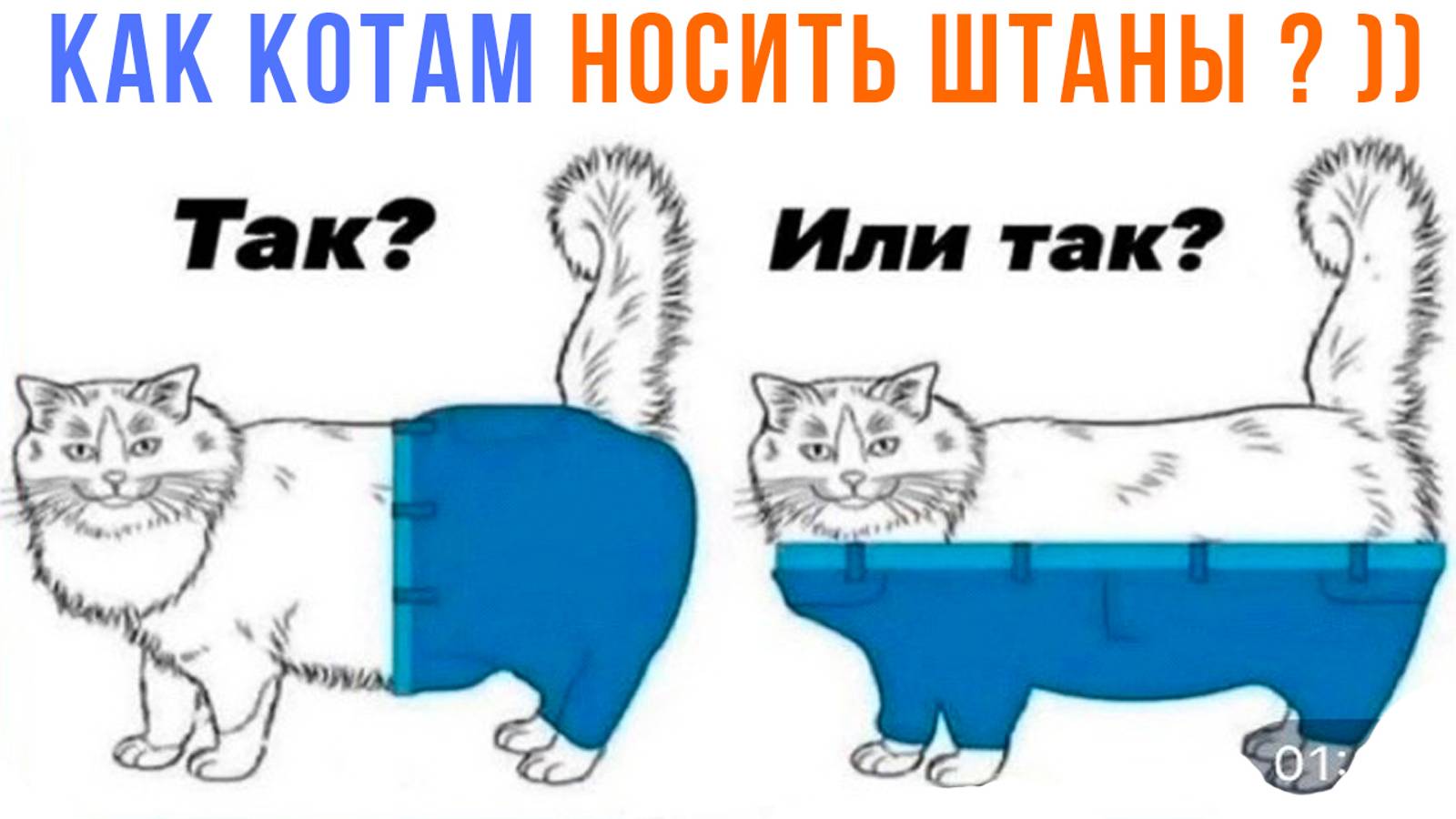 ПОМОГИ КОТУ НАДЕТЬ ШТАНЫ ))) | Приколы с котами | Мемозг 1459 смотреть онлайн