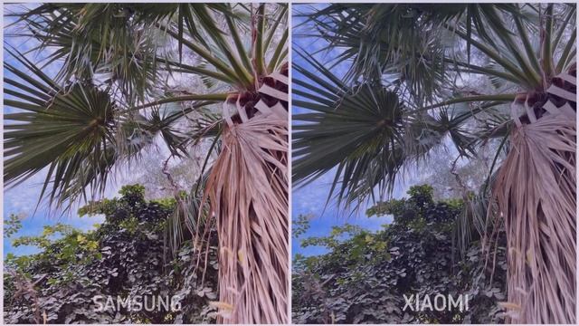 Samsung Galaxy S23 Ultra vs Xiaomi 13 Pro Camera Test | Which One is Best ? смотреть онлайн