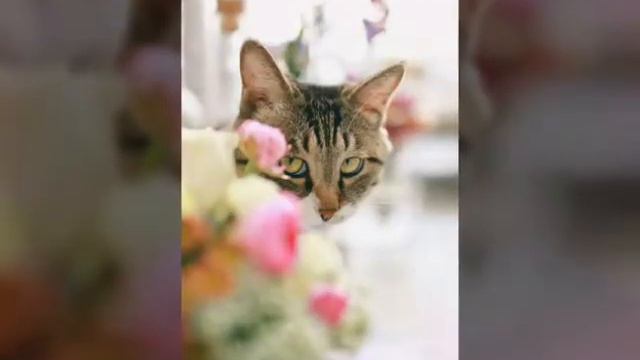 Макс Корж “Не выдумывай” смотреть онлайн