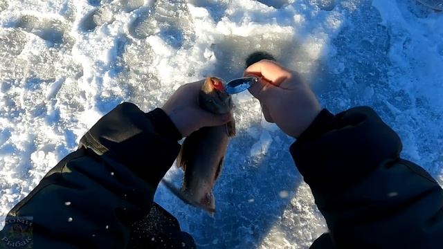 КАМЧАТКА - РЫБАЦКИЙ РАЙ \ ОТКРЫТИЕ СЕЗОНА 2022 - 2023 \ #3 \ ВОТ ЭТО РЫБАЛКА ! \ МЕЧТЫ СБЫВАЮТСЯ смотреть онлайн