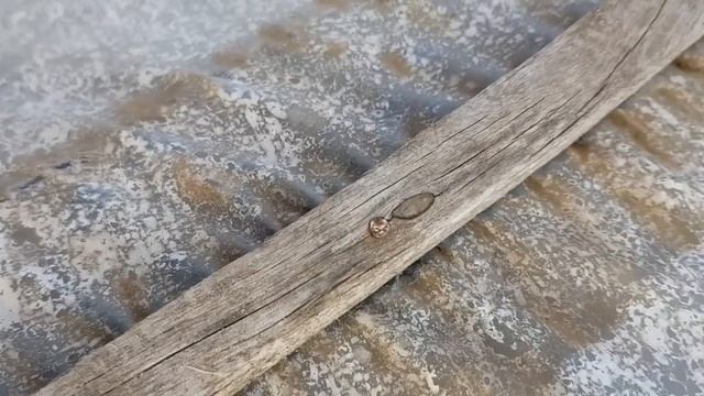 Чем крепить плёнку к деревянной теплицы. Капельная лента б/у vs дранка