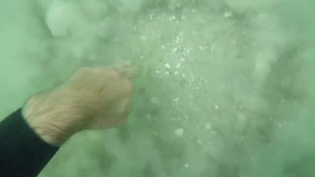 ?? Found in the Sea, PANDORA Bracelet, GOLD. Underwater Metal Detecting. смотреть онлайн