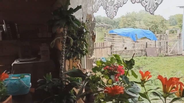 Приехали из незабываемого путешествия по России, встречает баба Валя. Отпуск закончился и мы дома смотреть онлайн