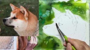 Бесплатный урок "Акита Ину"