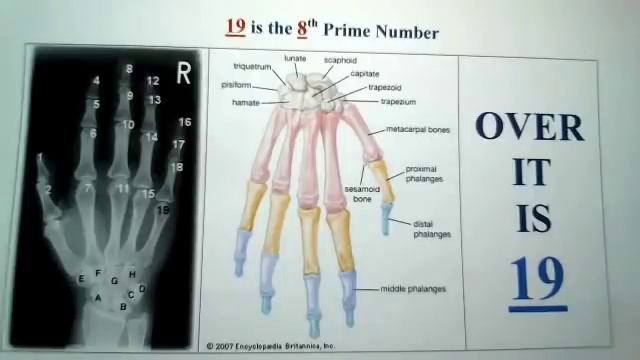 Quran Proof - Japanese Man Explains - Number 19 Miracle discovered in the United States of America смотреть онлайн