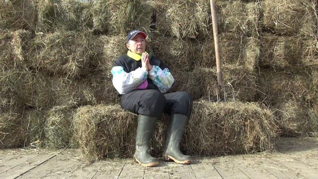 Дарья или Диана? Про то "Как меня зовут". смотреть онлайн