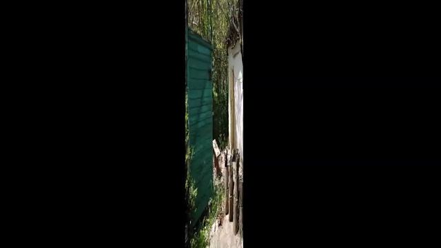 Кой-Таш. Дача 10 сот. смотреть онлайн