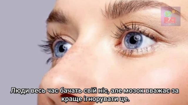 7 цікавих фактів 🤔 Випуск #89 "чіп для сліпих"👩🦯👨🦯👓 смотреть онлайн