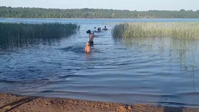 Лето2022г июль. Красное озеро. Плавание -в радость не только детям но и взрослым.(2) смотреть онлайн