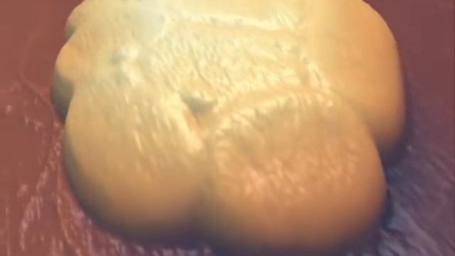 E-coli_music.wmv смотреть онлайн
