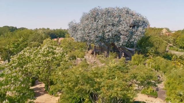 Disneyland Paris Reopening 17 June 2021 смотреть онлайн