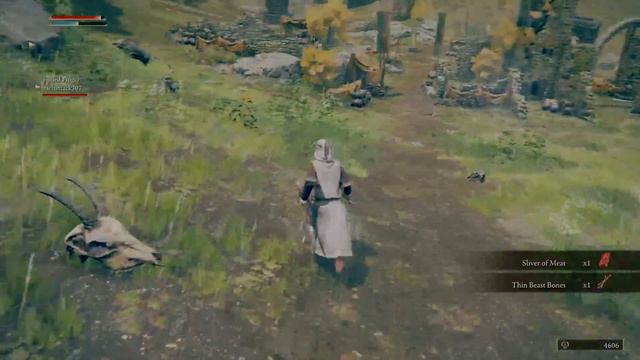 Elden Ring - (PS4 Pro) gameplay смотреть онлайн