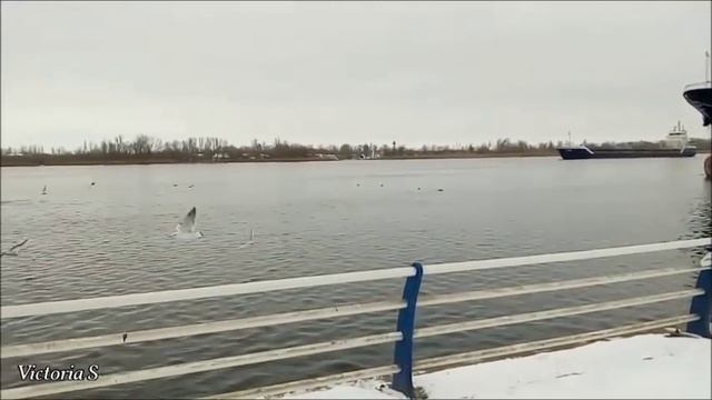 Херсон. Зима | Набережная | Повелитель чаек смотреть онлайн