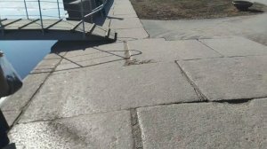 Ледоход на Неве в день Космонавтики