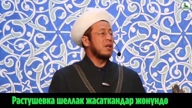 Садыбакас ажы Доолов ТЕМА: РАСТУШЕВКА,ЛАМИНИРОВАНИЕ,ШЕЛЛАК ЖАСАТКАНДАР ЖӨНҮНДӨ смотреть онлайн