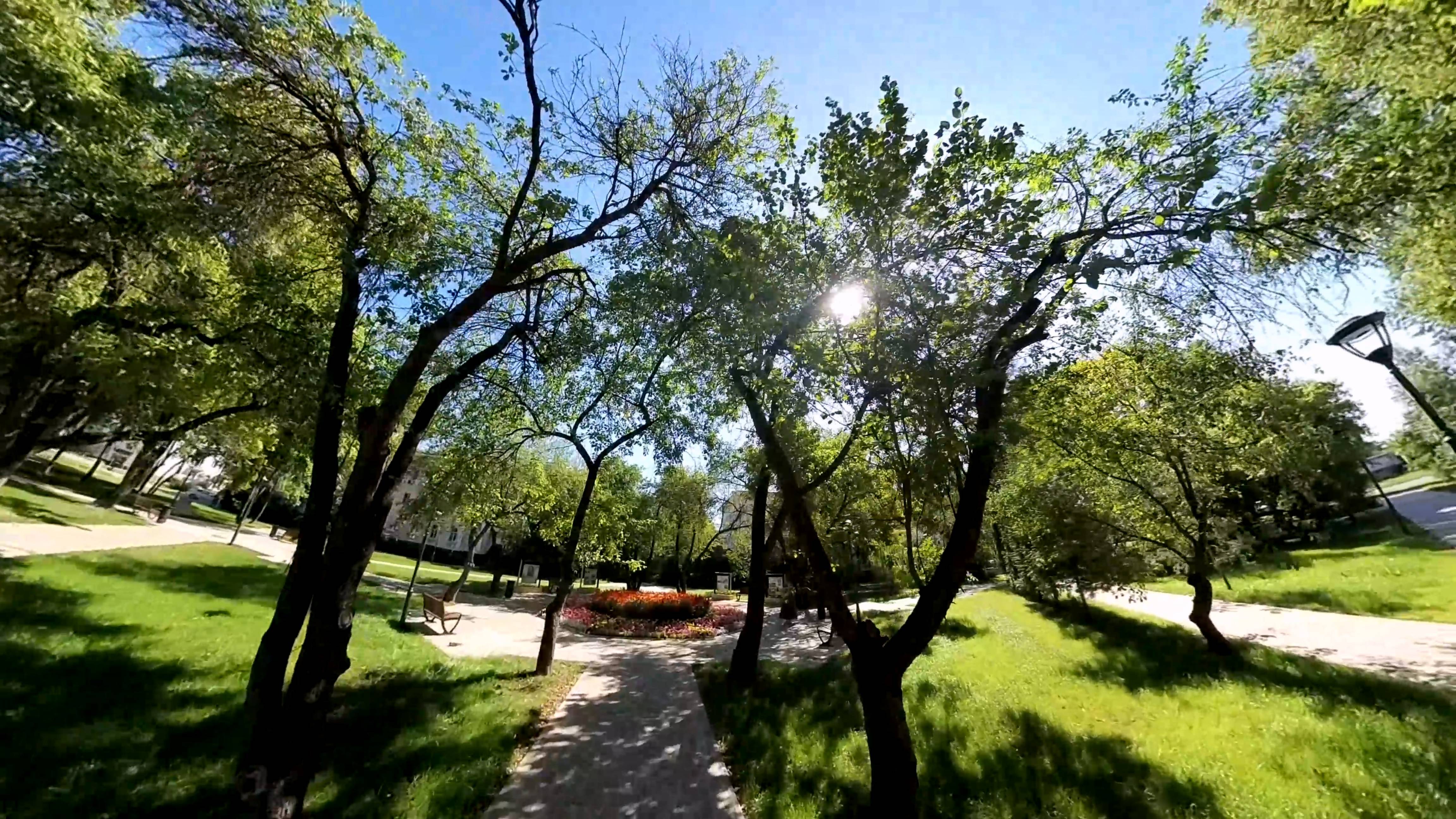 Сквер памяти Стефании Алексеевны Кудрявцевой в Обнинске