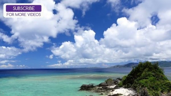 Music for Rabbits! Music to Relax Rabbits, Happy Bunny Music!