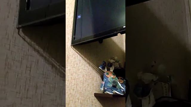 Планшет к телевизору смотреть онлайн