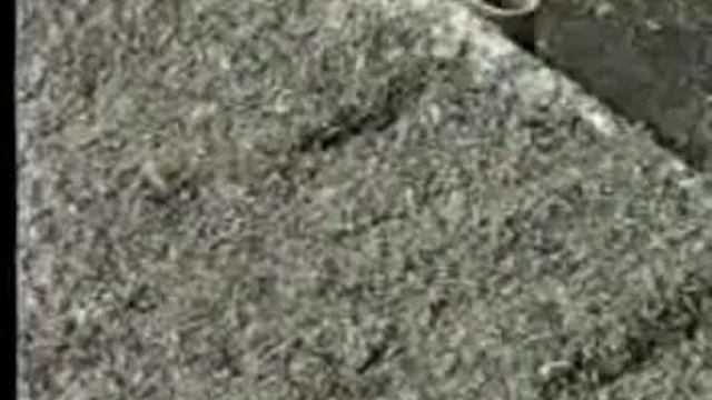 Метод доктора Миттлайдера. Огурец высадка, выращивание. смотреть онлайн