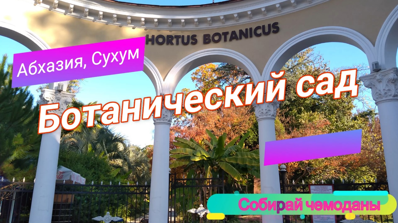 Ботанический сад в городе Сухум смотреть онлайн