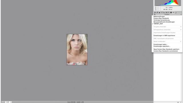Presets aus Lightroom in Camera Raw importieren - Tutorial ? PHOTOSHOP LIGHTROOM ? Krolop&Gerst смотреть онлайн