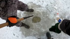 НЕ УСПЕЛ УСТАНОВИТЬ ХАПУГИ И СРАЗУ ПОЙМАЛ!КАРАСИ-ГИГАНТЫ И ПОЛОСАТЫЕ АРБУЗЫ. Рыбалка на ХАПУГУ зимо