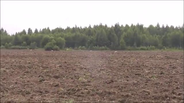 Кассетные пчелопавильоны Берендей. Засеваем медоносы для пасеки Берендей смотреть онлайн