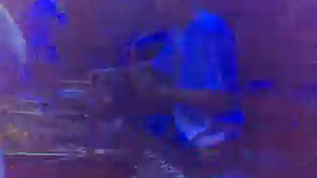 High Voltage 26-12-2006 Deel 6