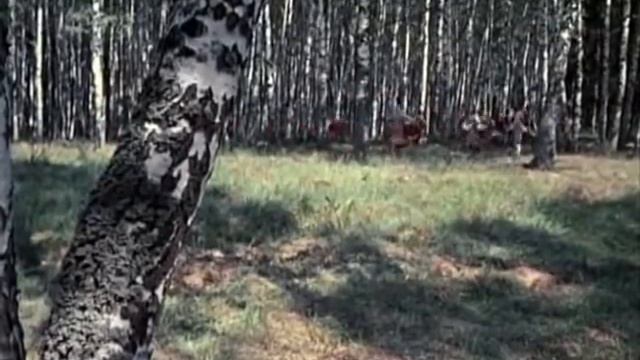Бони Нем Кострома смотреть онлайн